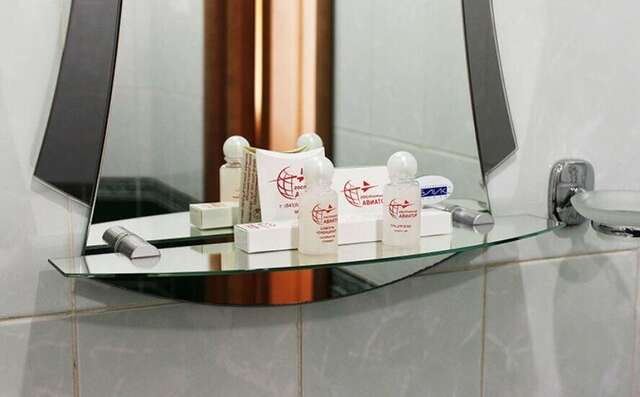 Гостиница Авиатор Казань-37